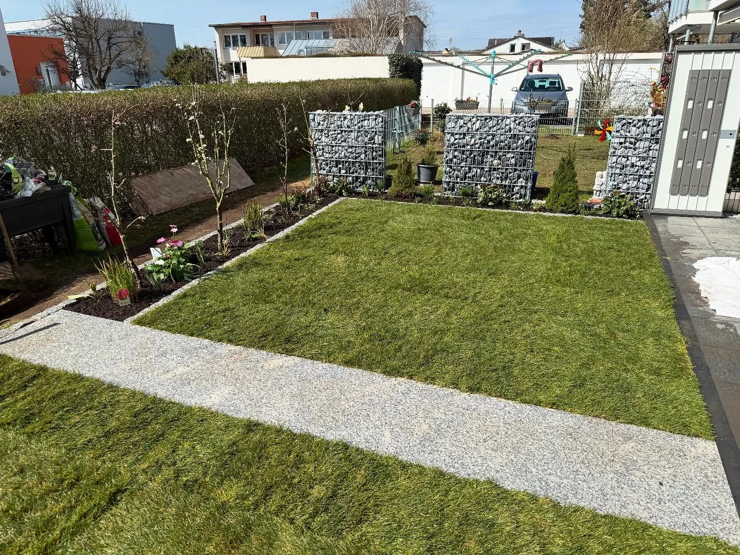 Neu angelegter Garten mit Rollrasen, Plattenweg und Gabionenwand